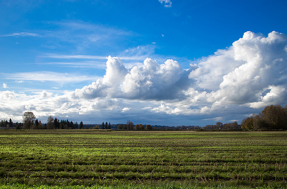 Field near Marysville, WA