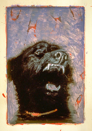 Snarling Dog