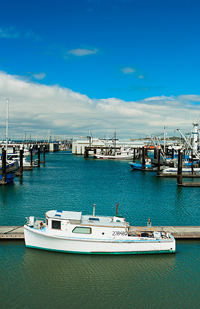 Squalicum Harbor, WA